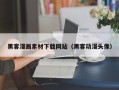 贺州黑客漫画素材下载网站（黑客动漫头像）