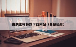 贺州白鹅素材特效下载网站（白鹅摄影）